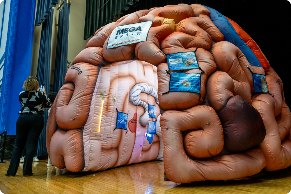 The giant, inflatable Mega Brain from Medical Inflatables. Perfect for health fairs and health education.